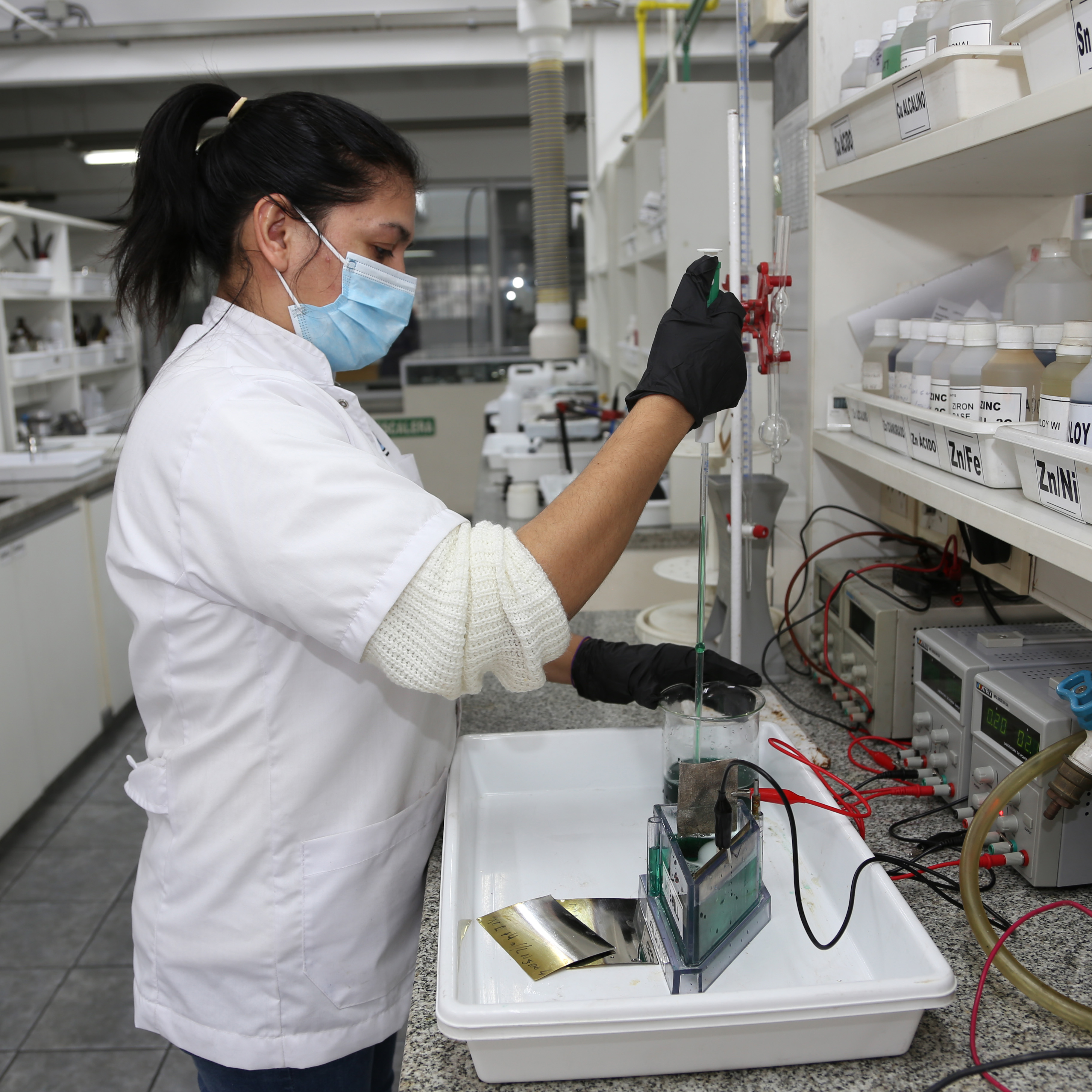 Servicios Analíticos